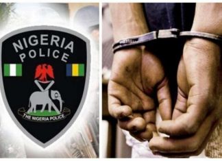 Police Arrests 5 Suspected Cult Members In Adamawa State University