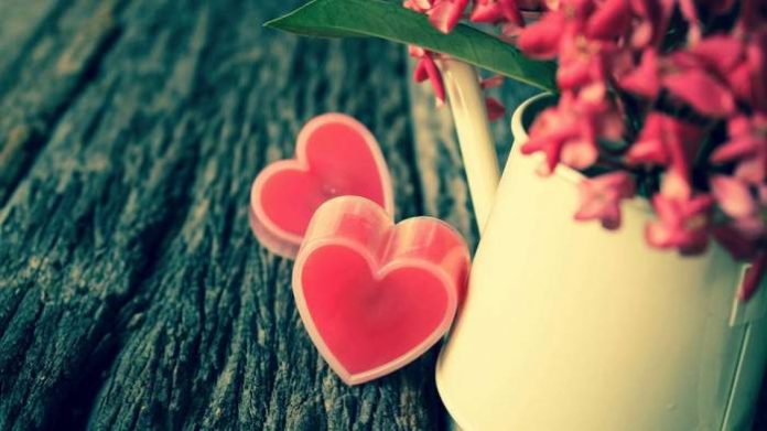 Valentines Day Gift 6 Cheap Valentine's Day Gifts That Will Make Your Loved One Feel Special