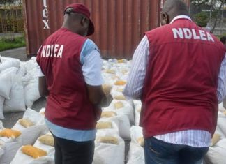 NDLEA Destroys 16, 146 kg Of Illicit Drugs In Bauchi