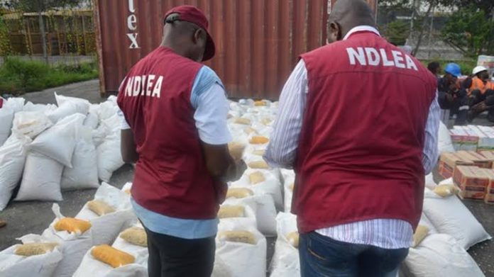ndlea destroys illicit drugs in bauchi NDLEA Destroys 16, 146 kg Of Illicit Drugs In Bauchi