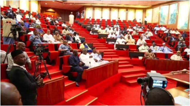 Senate Seeks To Amend Law On Immunity For Vice President, Govs