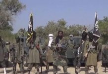 Boko Haram Terrorists Attack Borno Community, Kill 3