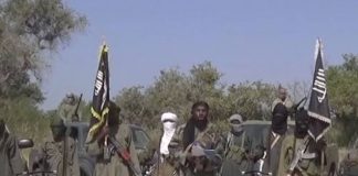 Boko Haram Terrorists Attack Borno Community, Kill 3