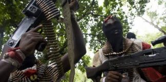 Bandits Kill 22 In Sokoto Community