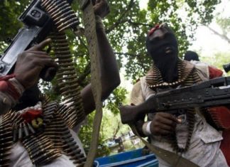 Gunmen Kill Two Vigilante Members in Okpanam, Near Asaba