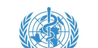 Coronavirus Could Kill 190,000 In Africa, WHO Warns