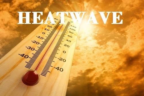 Heat Wave: Yobe Govt Advises Residents