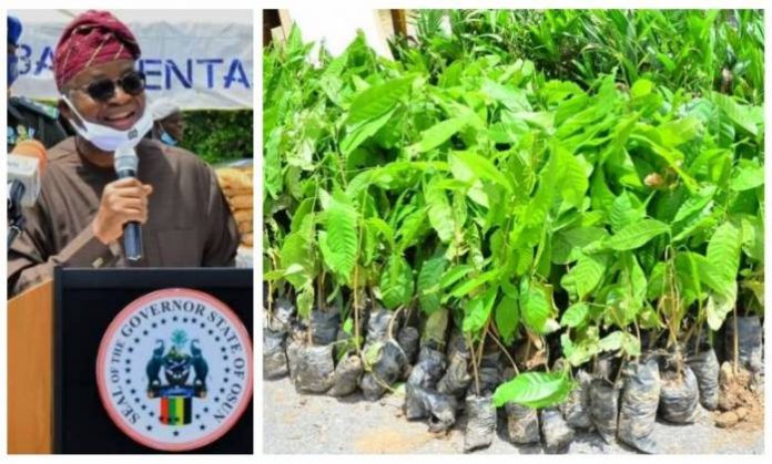 pixlr_20200521201820736 Osun Empowers 6,000 Farmers, Flags off 2020 planting season