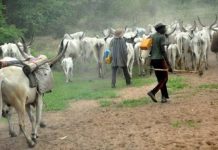 29 Fulani Herdsmen Killed By Gunmen In Military Uniforms