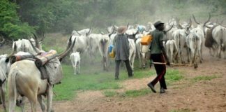 29 Fulani Herdsmen Killed By Gunmen In Military Uniforms