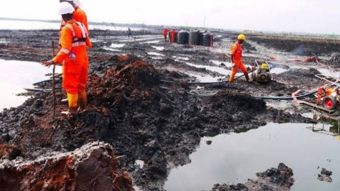Ogoni land gleanup Ogoni Land: Cleanup Begins At 57 Sites – Minister