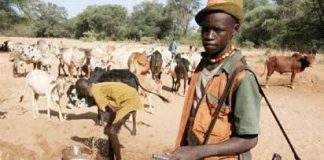 Group Hails FG, Army For Checking Herdsmen, Farmers' Crisis