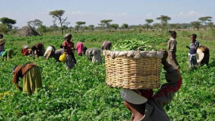 images (40) Stakeholders Task FG To Seek Demand-Driven Agriculture