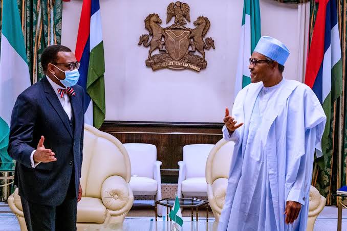 AfDB: Buhari Reassures Adesina Of His, Nigeria's Support