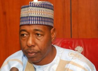 Only Qualified Teachers Will Teach In Borno – Gov. Zulum