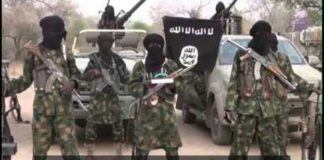 Boko Haram kills 81, abduct seven in Borno attack