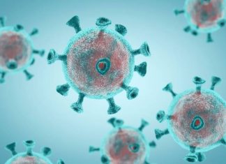 Human Security Dimension Of COVID-19 Pandemic