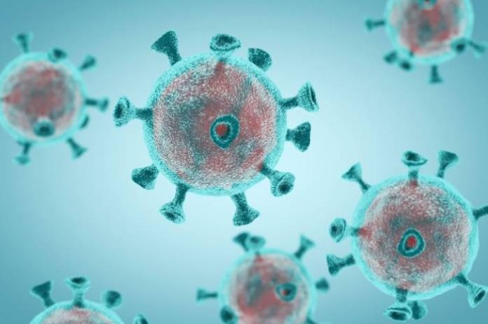 GettyImages Human Security Dimension Of COVID-19 Pandemic