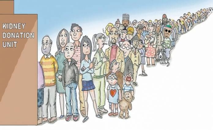 KIDNEY CARTOON Organ Harvesting Industry Booms In Lagos As Probe Deepens, How kidney merchants in Lagos recruited us —Victims