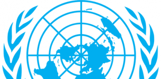 Boko Haram: UN Condemns Execution Of 5 Aid Workers In Borno