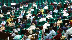 NDDC: Reps Summon Pondei, Nunieh, Ekere, Alaibe, Others