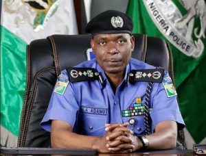 IGP Orders Full Enforcement Of Curfew In Southern Kaduna