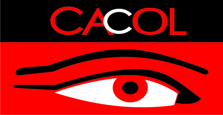 Diezani: CACOL Commends Judiciary For Summoning Ex-Minister, Pleads For Judicious Prosecution