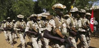 Again, Nigerian Troops Hit terrorists’ Meeting Venue, Kill Several Fighters In Borno