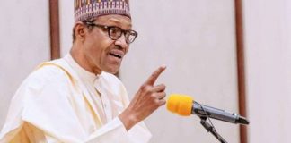 #RevolutionNow Protesters Being Sponsored To Destabilise Nigeria - Group