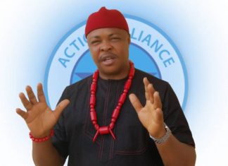 Edo and Ondo Elections: AA Remains The Only Credible Option For Peace, Good Governance - Udeze