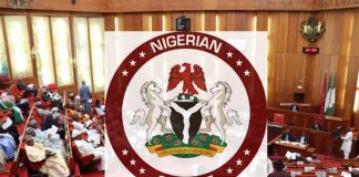 Northern Elders Forum Disagrees With Senate's Planned Review Of 1999 Constitution