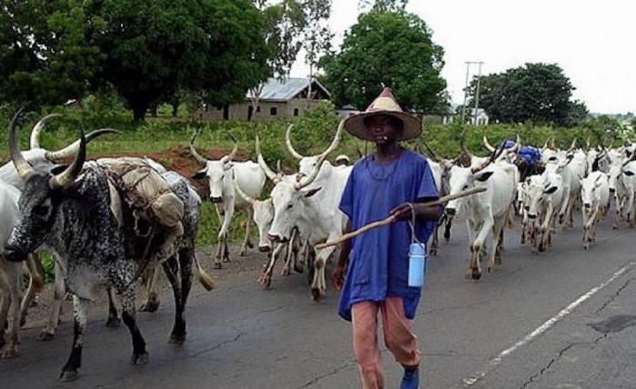 Herders To Carry Identity Cards In Ebonyi Now — Govt