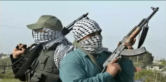 Gunmen Abduct Yobe Village Head