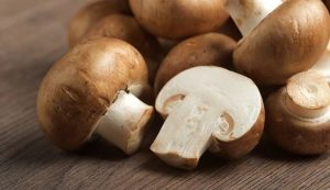 Eat Mushrooms To Prevent Cancer, Others-Expert