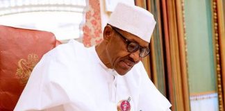 Buhari Approves Renewal Of Ugbo's, Appointment As NDPHC MD, Oyedele, Shehu As Executive Directors
