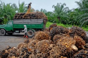 Oil Palm Coy Pledges N3m Reward For Information On Gunmen Who Killed 2 Security Guards