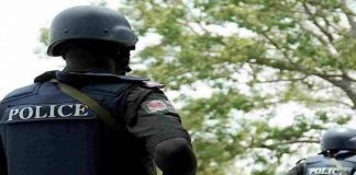 Police Arrest 'immigration officer,' 3Others With Trailers Of Rustled Cows