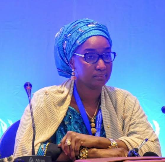 Humanitarian Affairs Minister Distances Self From Diverted N2.72bn School Feeding Funds