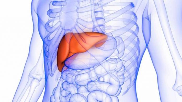 LIVER-scaled