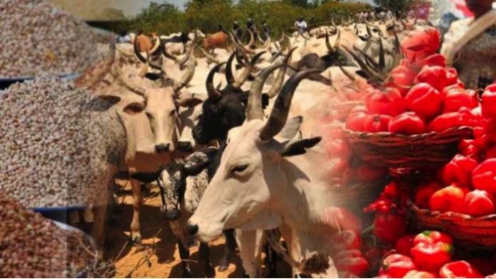 Amalgamated-Union-of-Foodstuff-and-Cattle-Dealers-of-Nigeria-