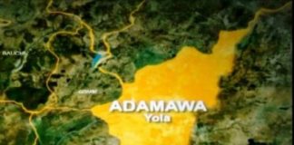 Adamawa