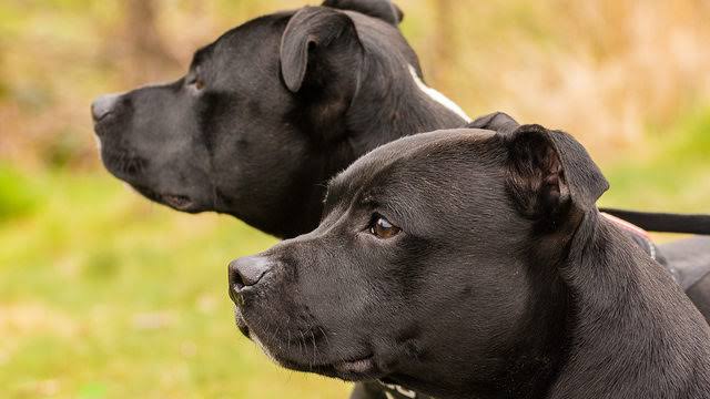 images - 2021-09-19T065545.723