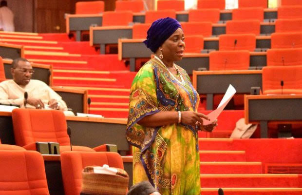 Sen. Olujimi Wants Enforcement Of 30 Per Cent Women Representation In ECOWAS Parliament