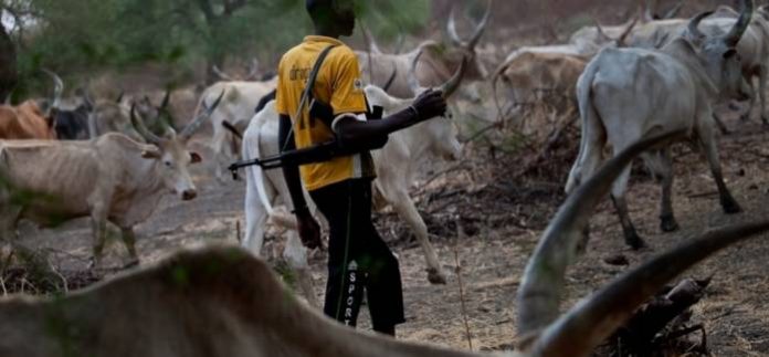 herdsmen-fulani