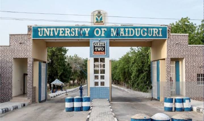 Our Resilience In The Face Of Insurgency Attracted N2bn Project – UNIMAID VC