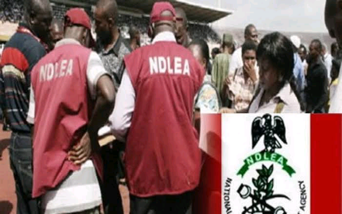 NDLEA Arrests 272 Suspects, Seizes 339.81kg Of Hard Drugs In A’Ibom
