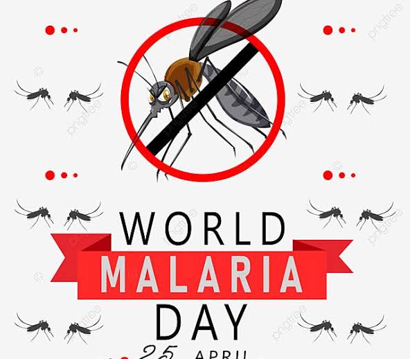 World Malaria Day: Benue Health Commissioner Encourages Malaria Testing Before Treatment