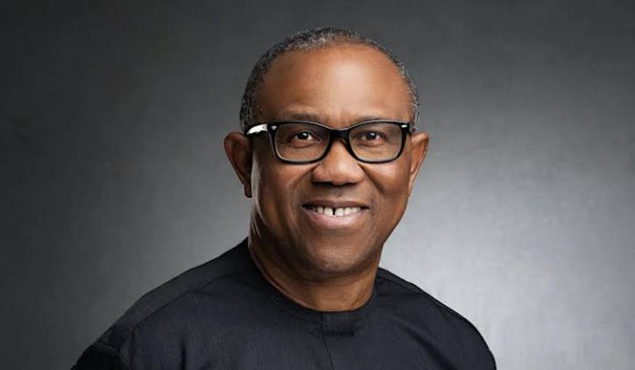 Peter Obi, Labour party presidential