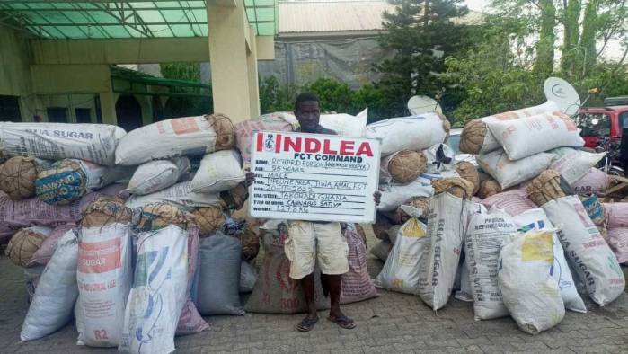 NDLEA Arrests Grandma, Pregnant Woman, Others Over 5,527.15kg Meth, Skunk