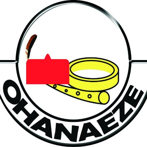 Elections: Resist The Illegal Sit-At-Home Order In S/East – Ohaneze Re-echoes